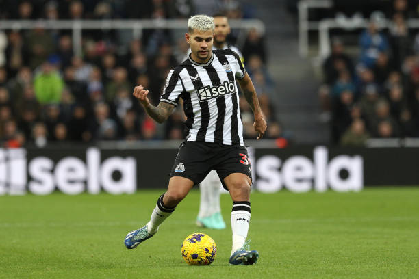 建立的情感 建立的情感